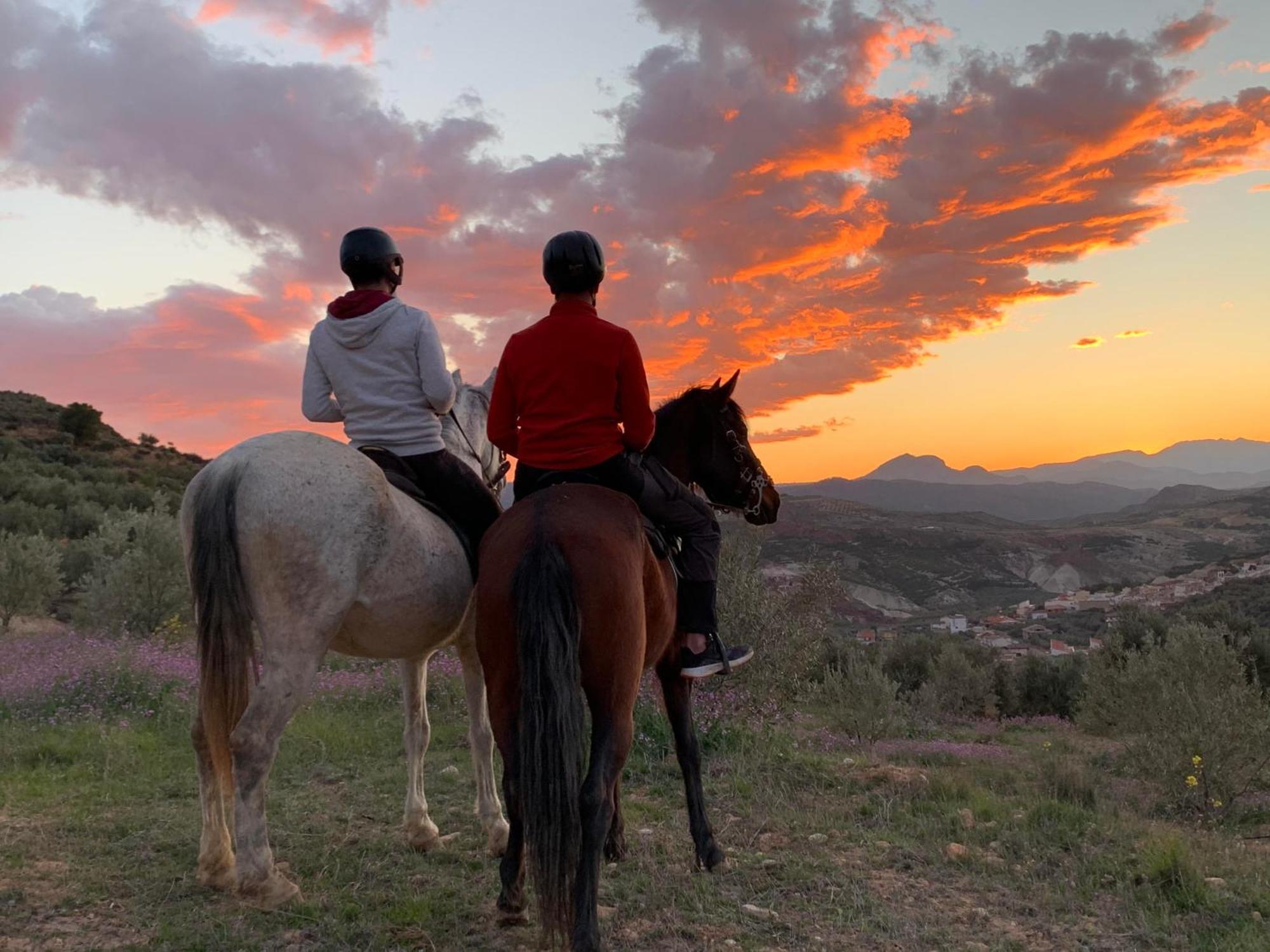 Hinojares Casas Cueva Cazorlaゲストハウス エクステリア 写真